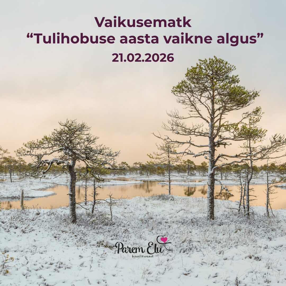 Kihnu retriit (Instagrami postitus)